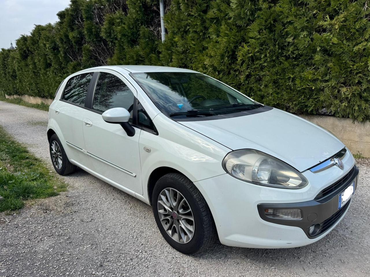 Fiat Punto Evo 1.3 Mjt 75 CV 5 porte Dynamic