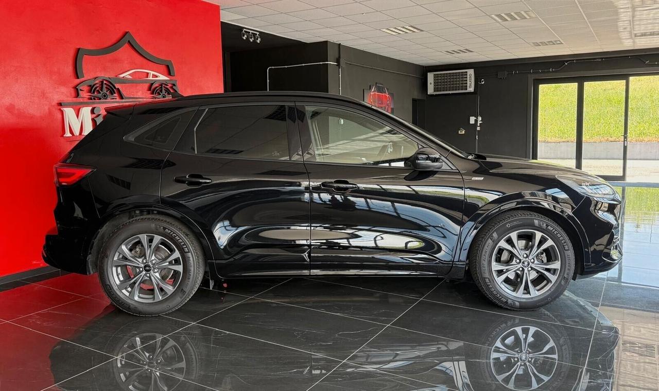 Ford Kuga 1.5 EcoBlue 120 CV aut. 2WD ST-Line