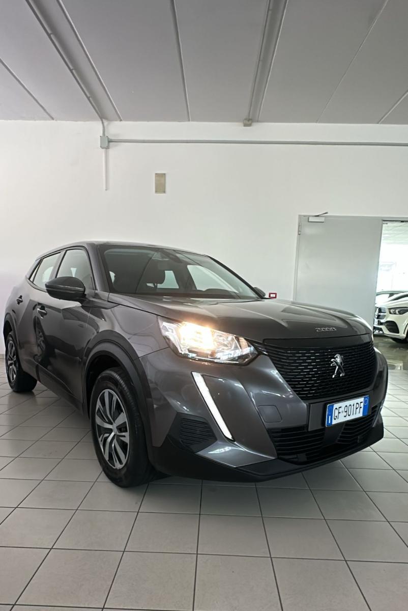 PEUGEOT - 2008 - BlueHDi 110 S&S Active