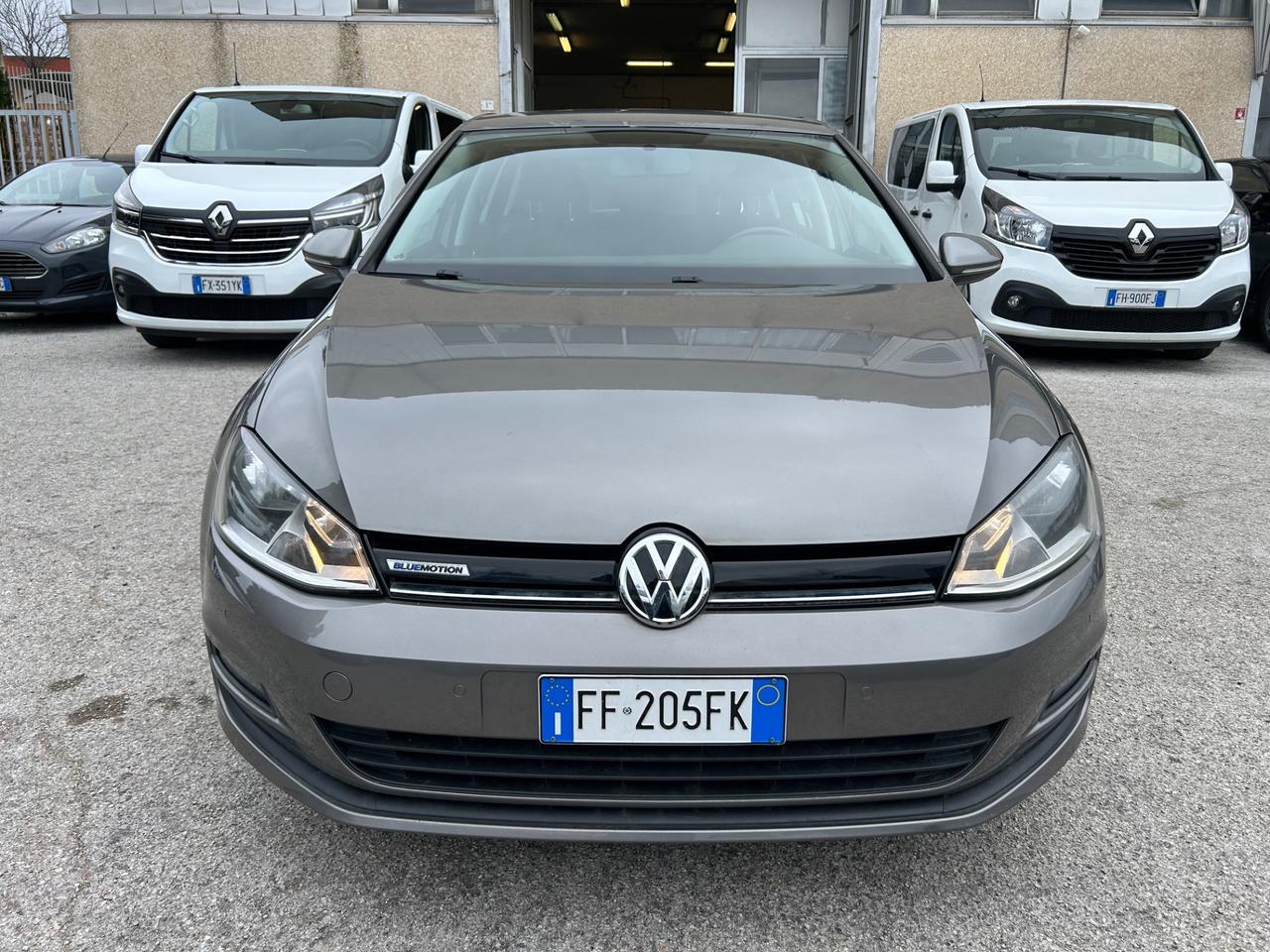 Volkswagen Golf 1.4 TGI 5p. Executive BlueMotion