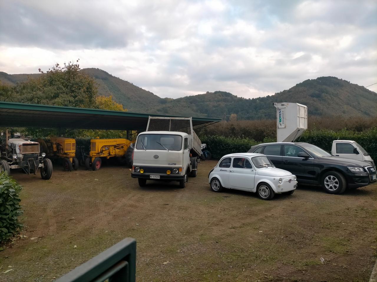 Fiat 500 F Copia Giannini