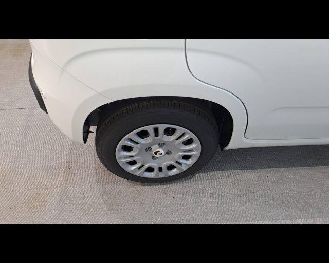 FIAT Panda 1.0 firefly hybrid Icon s&s 70cv