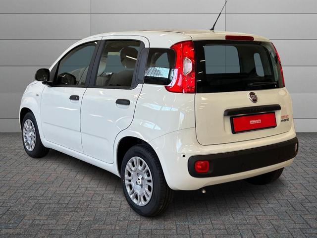 FIAT Pandina Pandina Pop