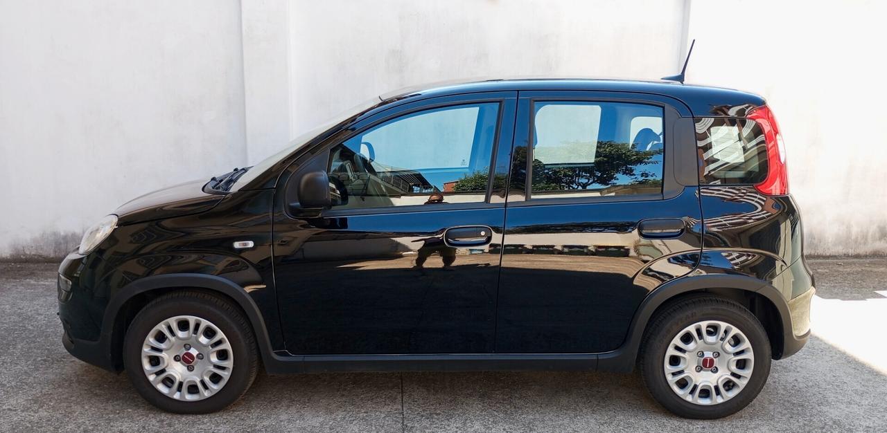 PROMO 31/07Fiat Panda 1.0 FireFly S&S Hybrid