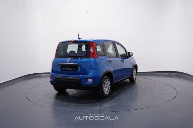 FIAT New Panda My25 1.0 FireFly S&S Hybrid #Pack City #5posto