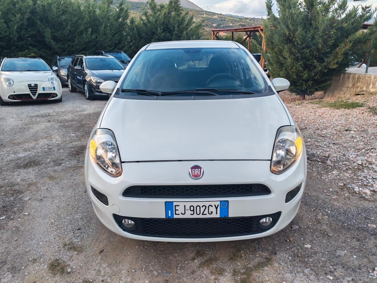 Fiat Punto Evo 1.3 Mjt 75 CV DPF 5 porte S&S Active
