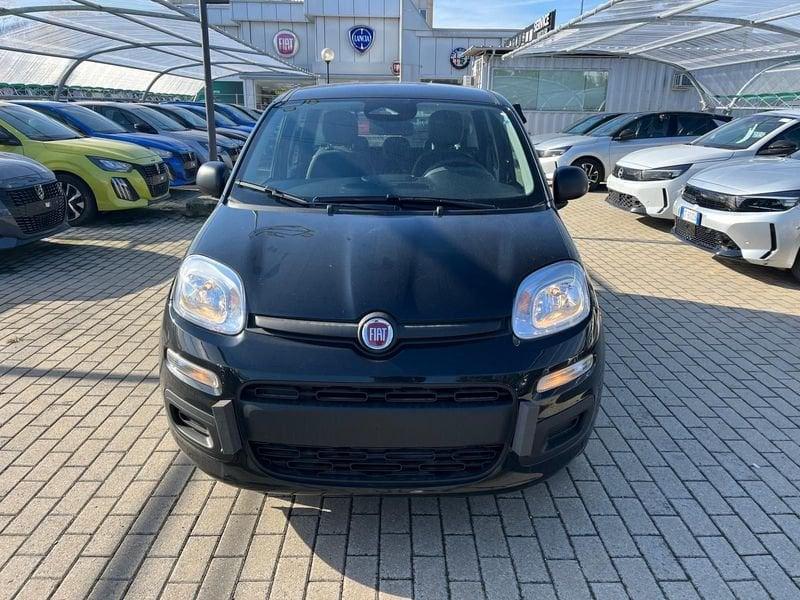 FIAT Panda Panda 1.0 FireFly S&S Hybrid Icon