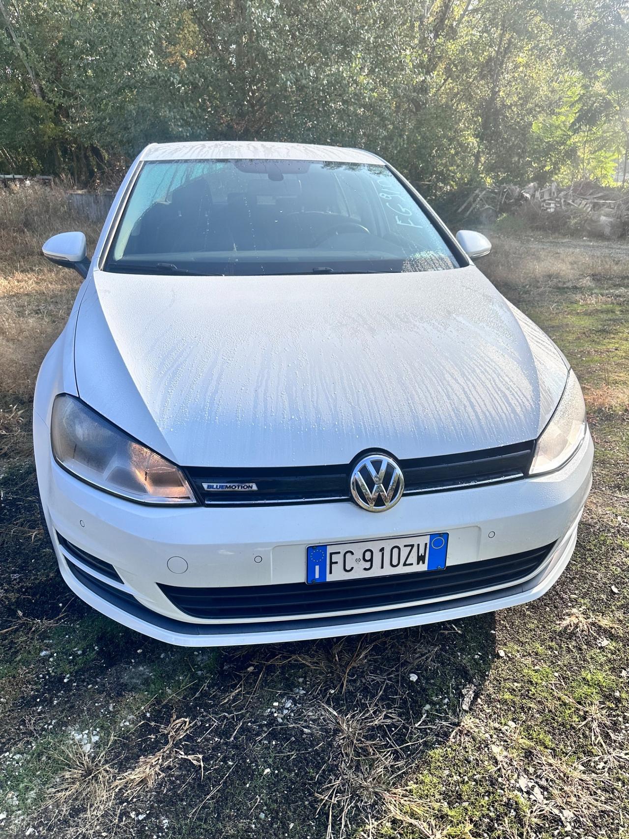 Volkswagen Golf 1.4 TGI 5p. Comfortline BlueMotion