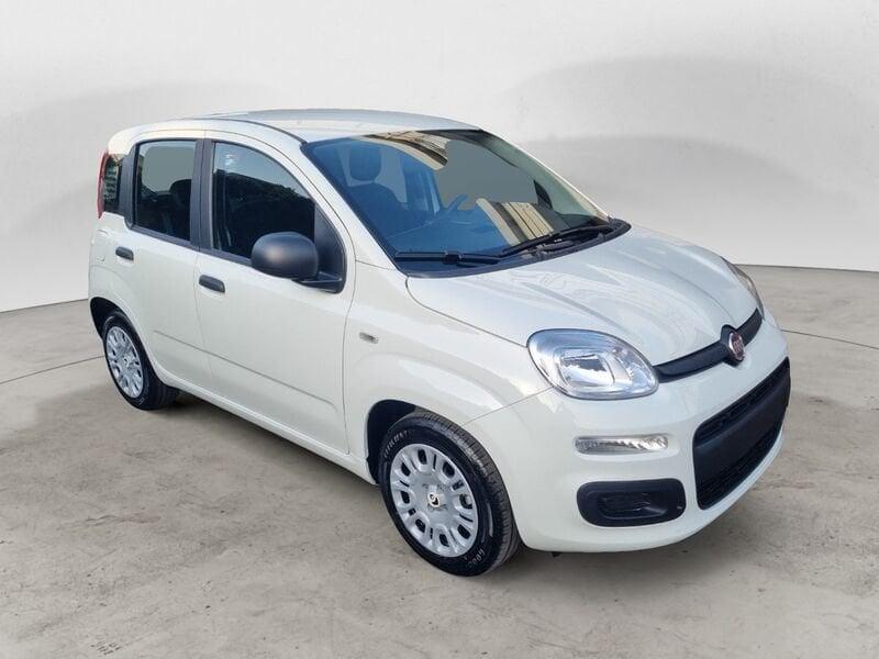 FIAT Panda NEW 1.0 70cv Hybrid Pop