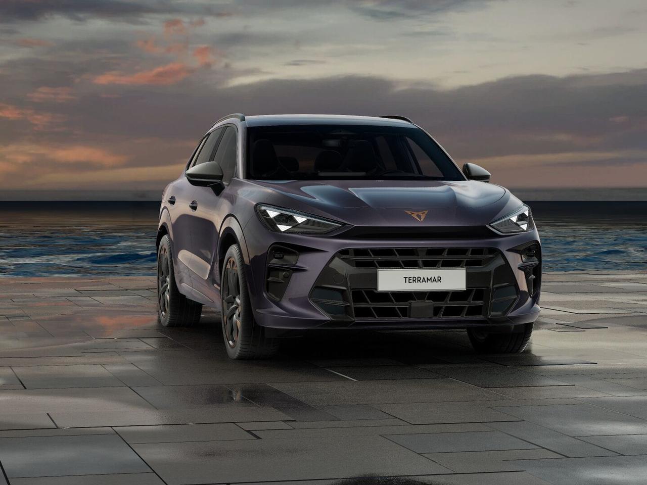 Cupra Terramar 1.5 hybrid 150cv dsg