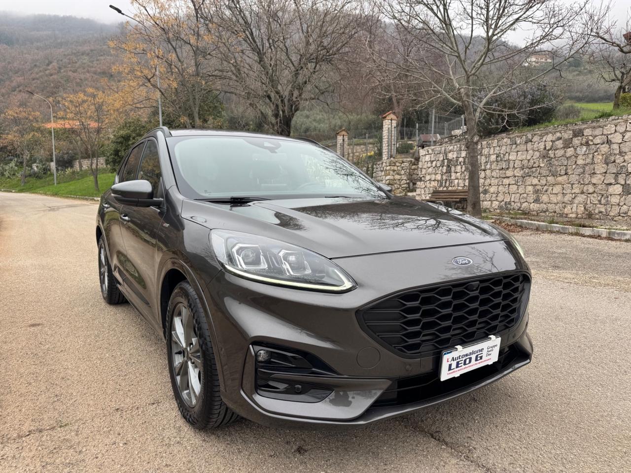 Ford Kuga 1.5 EcoBlue 120 CV aut. 2WD ST-Line