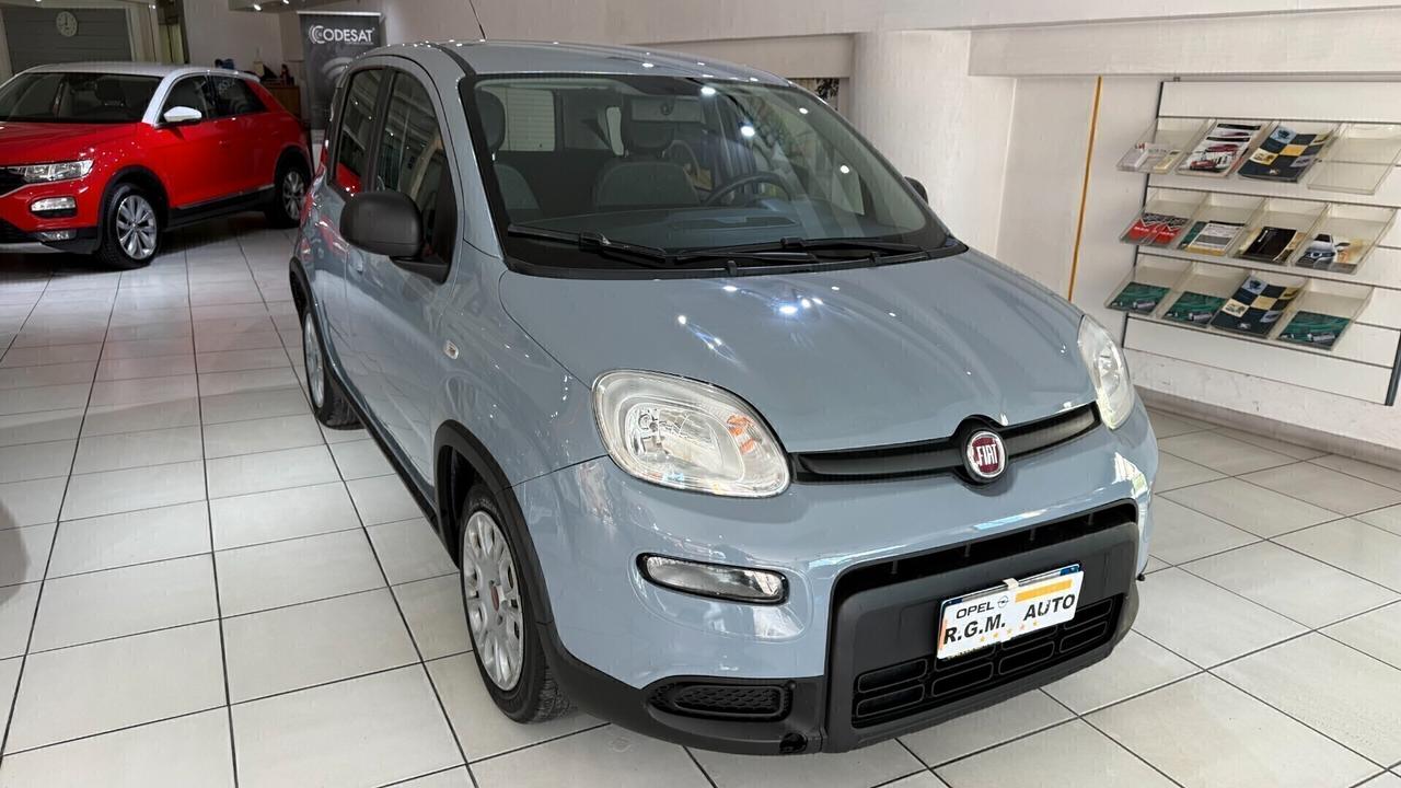 Fiat Panda 1.0 FireFly S&S Hybrid City Life TOUCH + BLUETHOOT + BLOCK SHAFT