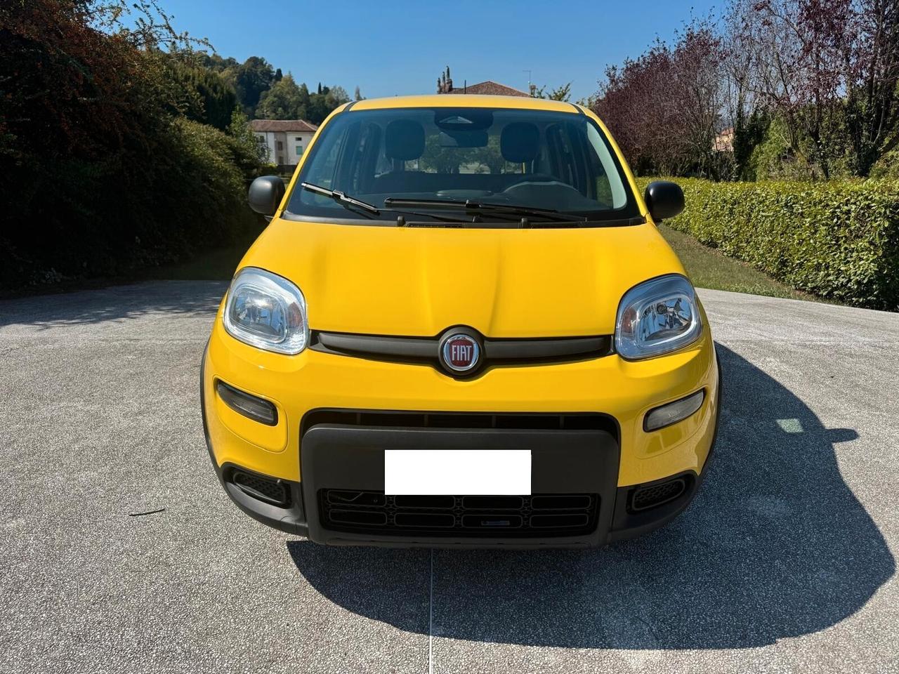 Fiat Panda 1.0 FireFly S&S Hybrid Pandina- 1.516 KM – 2024
