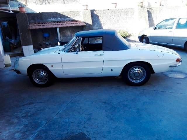 Alfa Romeo Spider 1750 osso di seppia