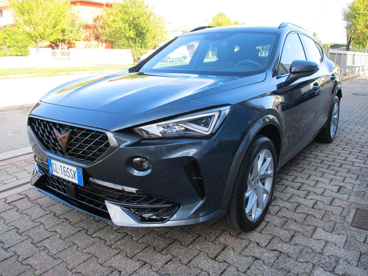 Cupra Formentor 2.0 TDI 4Drive DSG