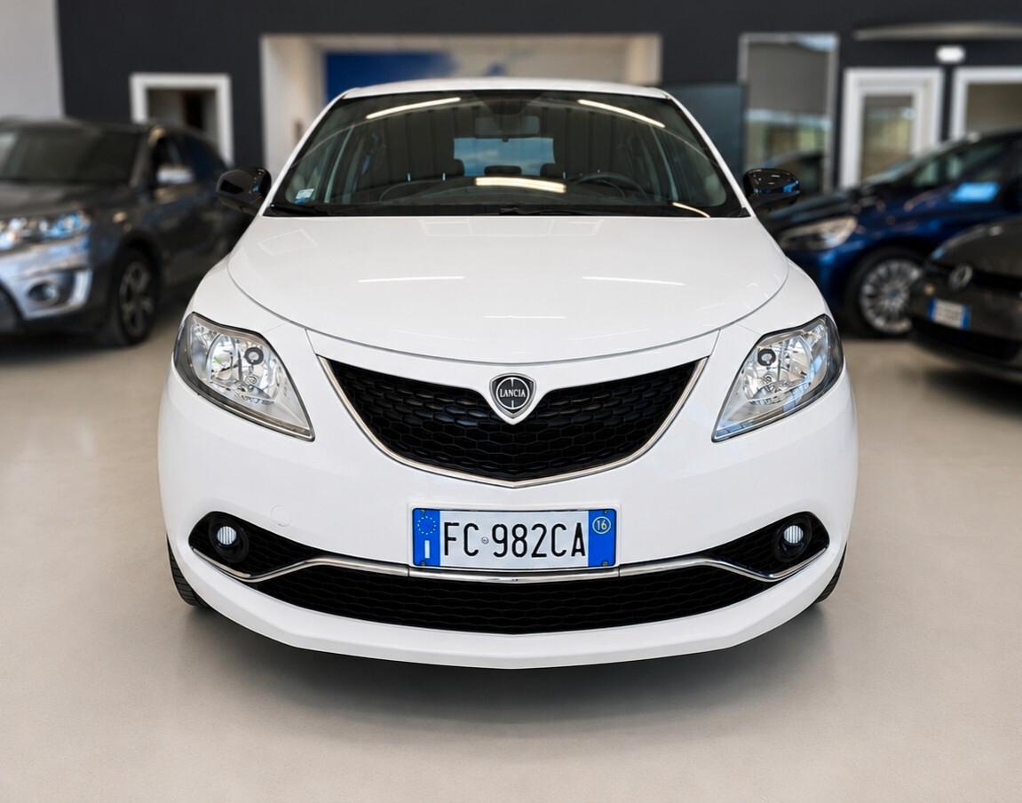 Lancia Ypsilon 1.3 MJT 16V 95 CV 5 porte S&S Platinum