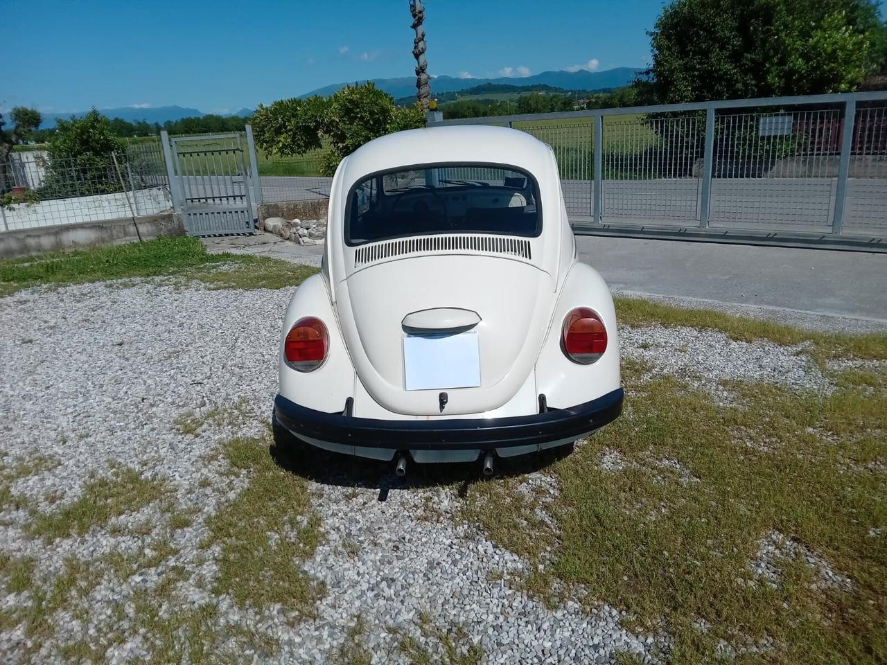 Volkswagen Maggiolino