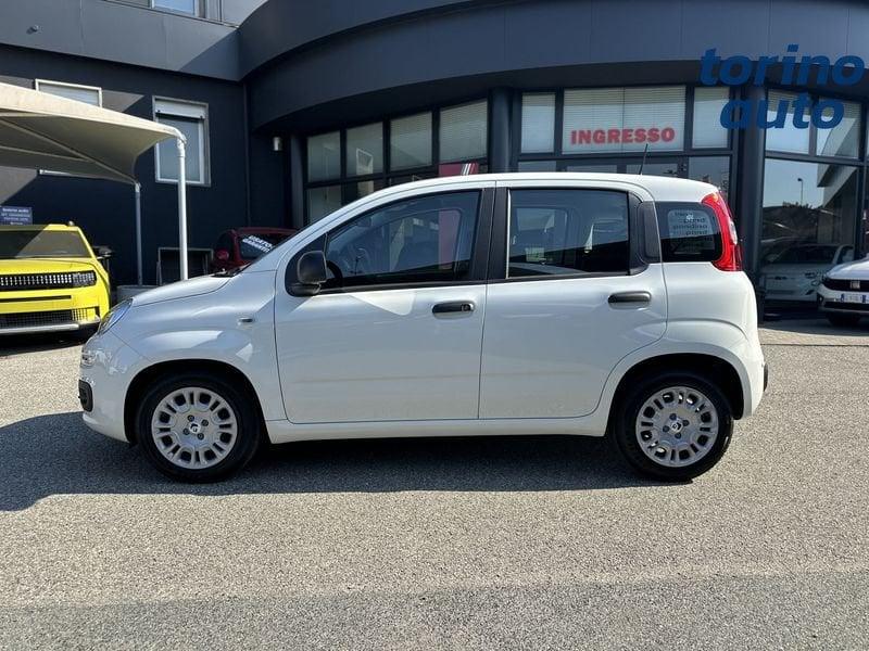 FIAT Pandina 1.0 FireFly 65cv S&S 6m Hybrid Icon
