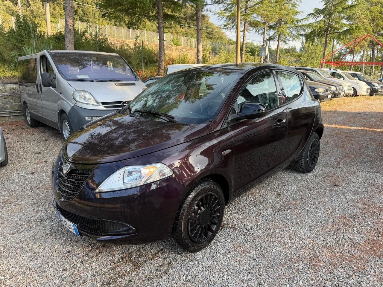 Lancia Ypsilon 0.9 TwinAir 85 CV 5 porte Metano Ecochic Elefantino