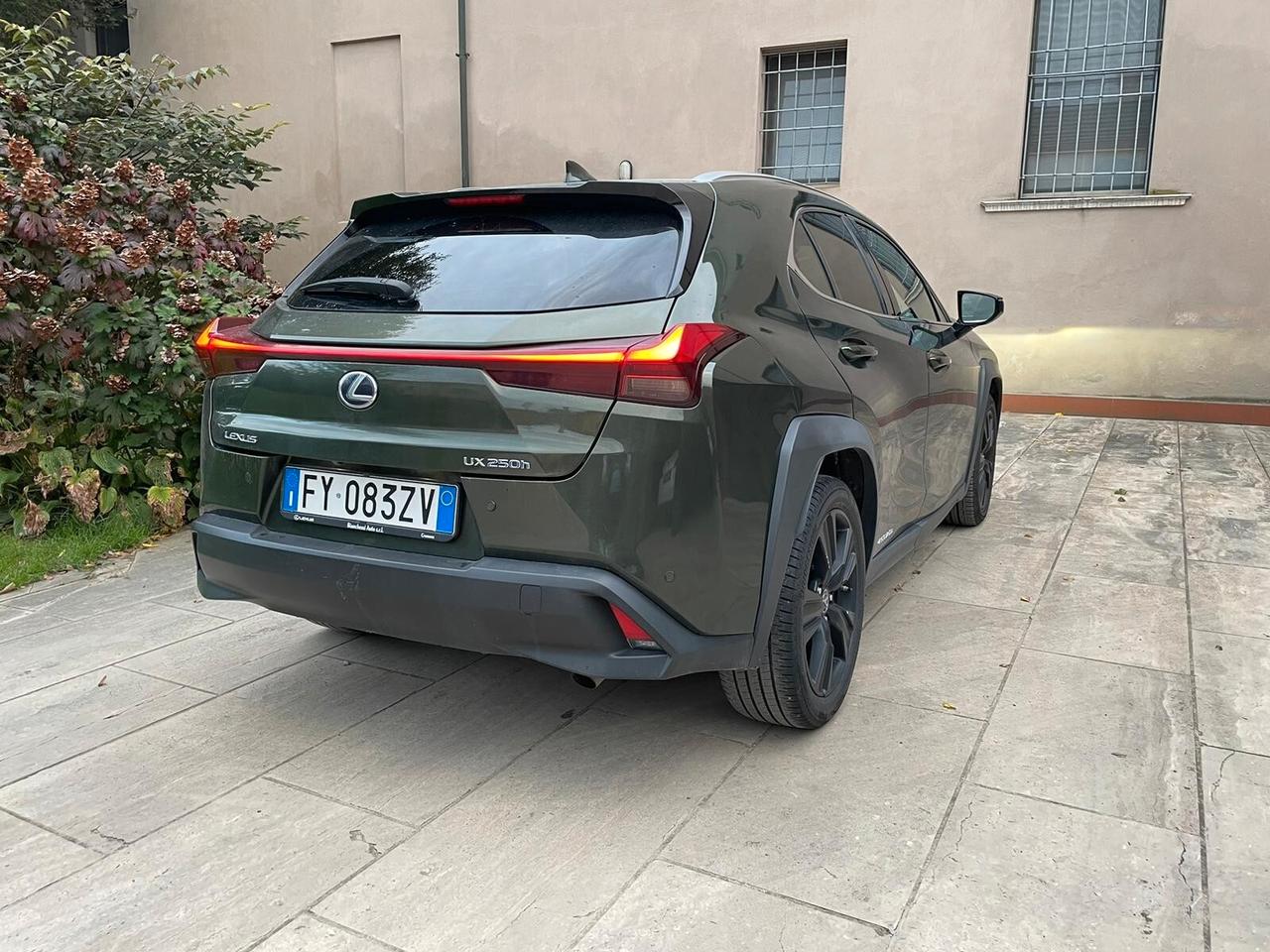 Lexus UX UX Hybrid 4WD Premium