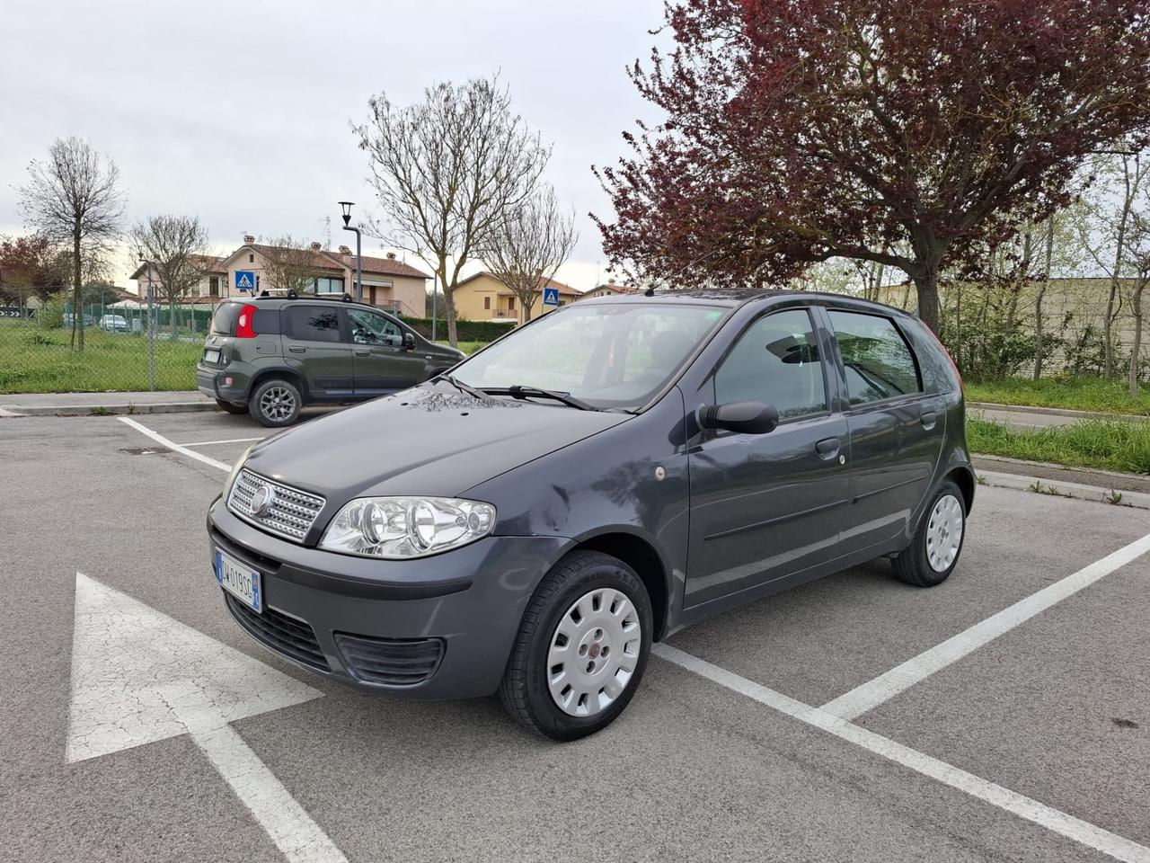 Fiat Punto Classic 1.2 5 porte Active GPL 2009