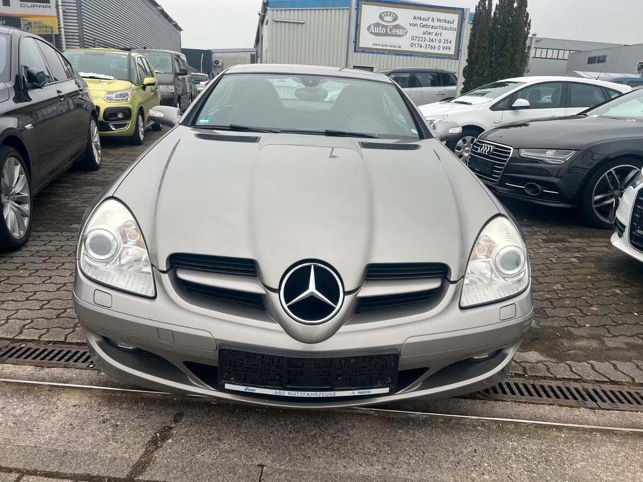 Mercedes-benz SLK 200 Kompressor Pelle-Xeno