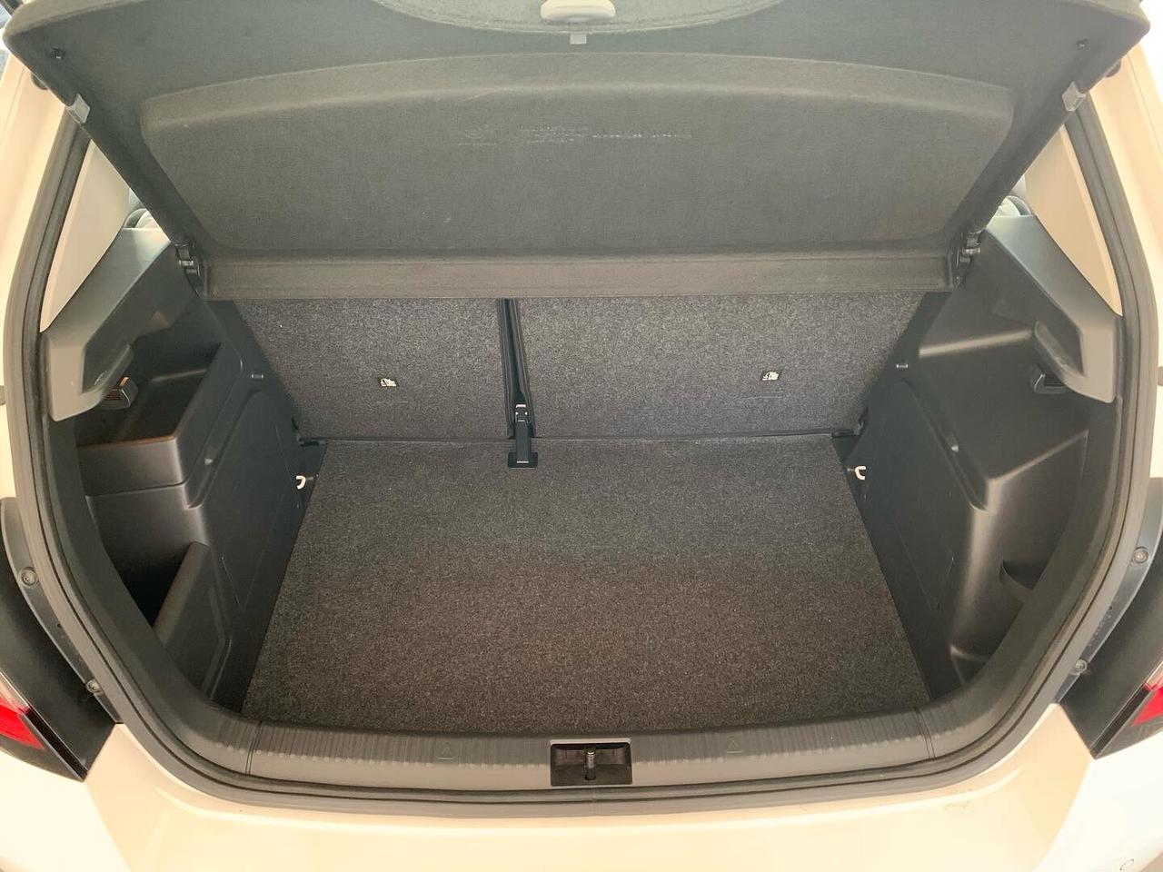 Skoda Fabia 1.4 TDI 75 CV Executive