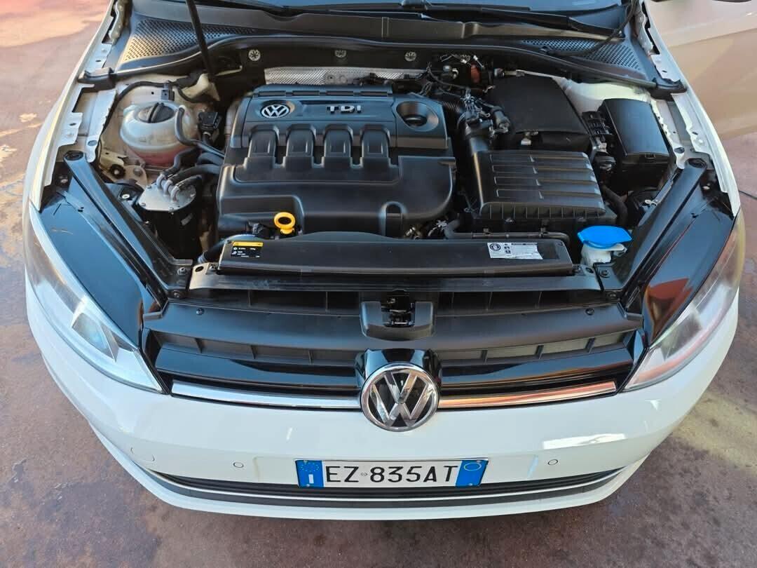 Volkswagen Golf 1.6 TDI 5p. Comfortline BlueMotion Technology