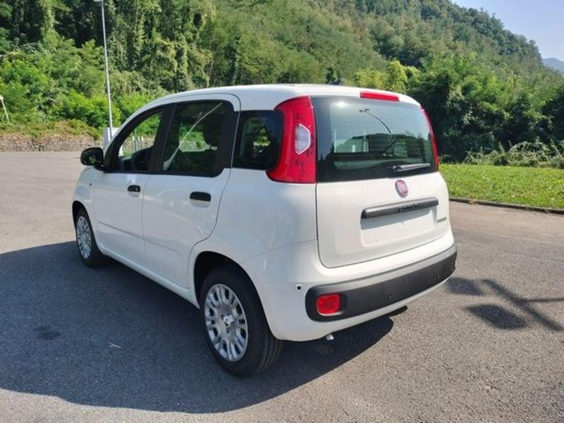 FIAT Pandina 1.0 FireFly 65cv S&S Hybrid Icon con comandi al volante!!