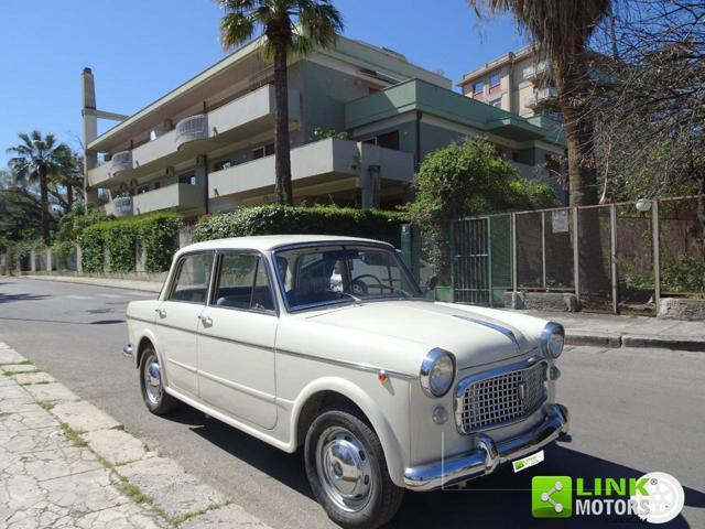 FIAT 1100 D Special