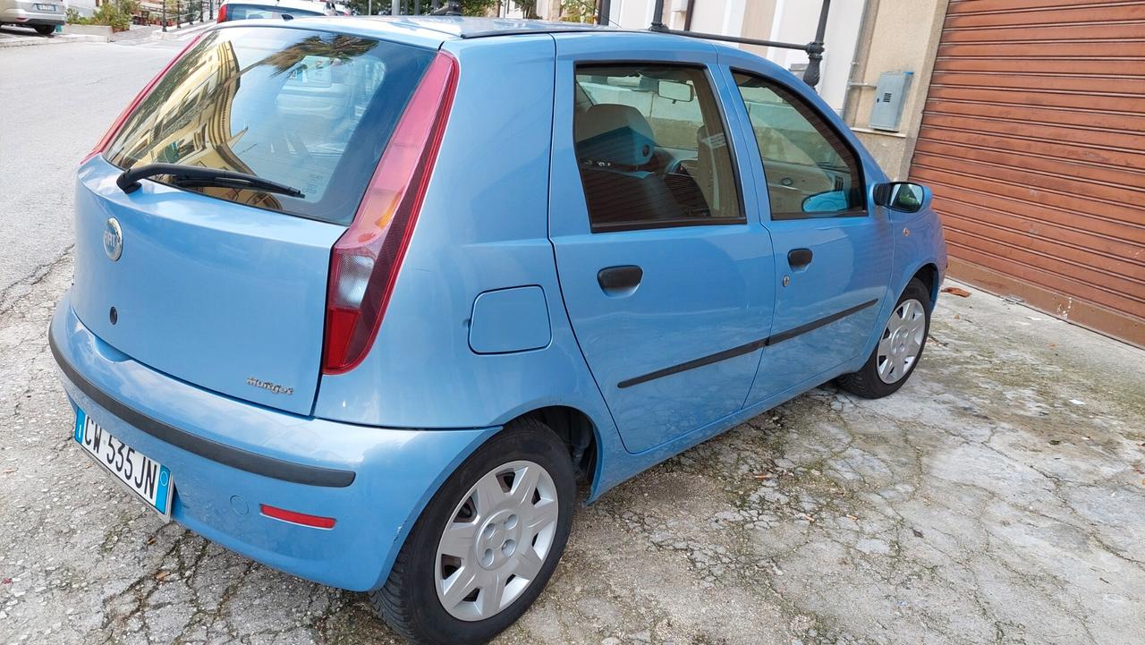 Fiat Punto 1.3 Multijet 16V 5 porte Active