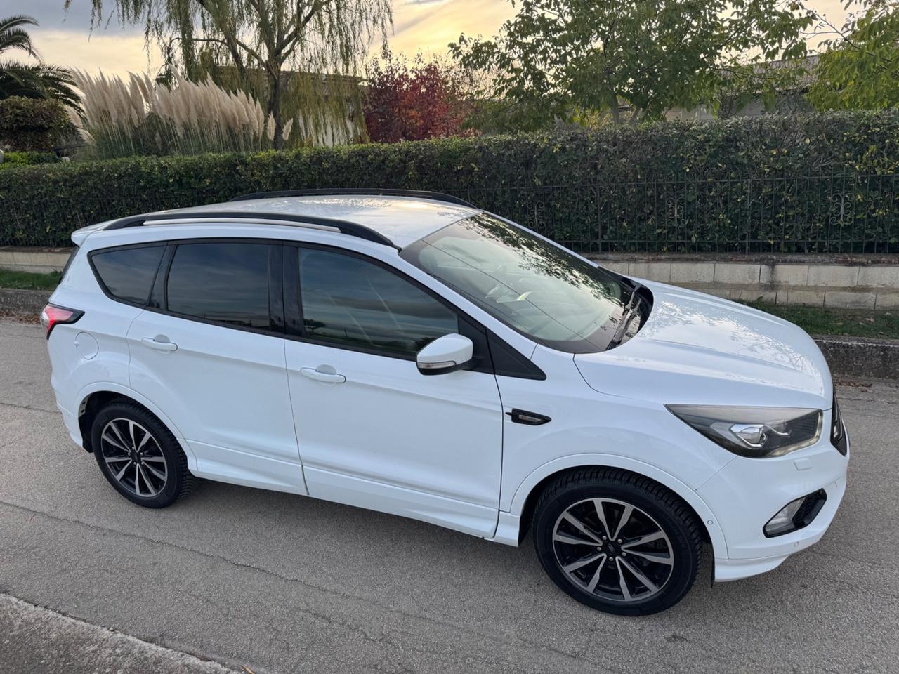 Ford Kuga 1.5 TDCI 120 CV S&S 2WD ST-Line