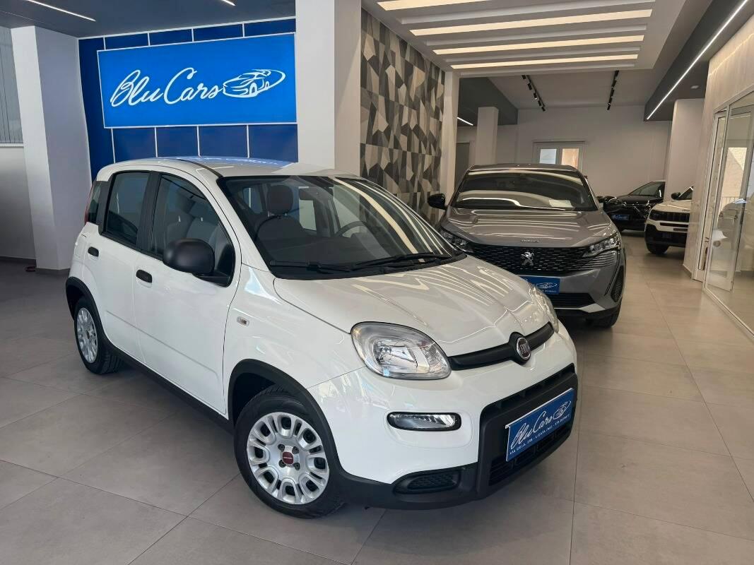 Fiat Panda III 1.0 firefly hybrid City Life s&s 70cv