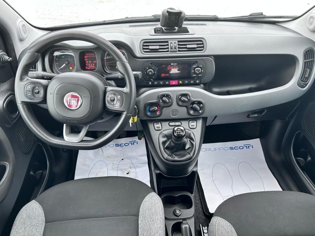 FIAT Panda III 2021 - Panda 1.0 firefly hybrid City Life s&s 70cv 5p.ti