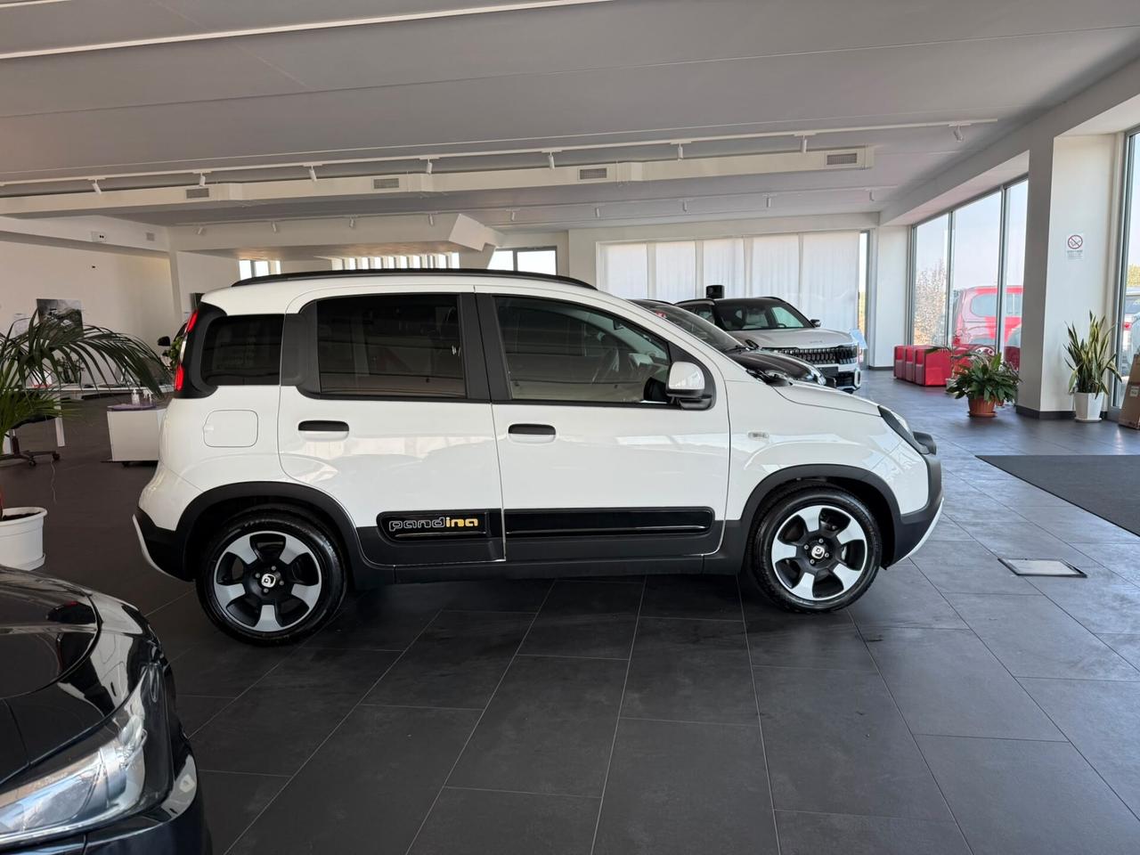 Fiat Panda Pandina 1.0 FireFly 65 CV Hybrid Cross