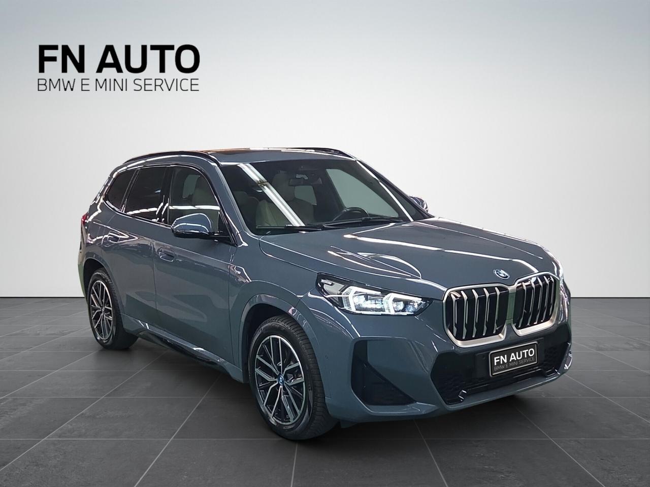 Bmw X1 xDrive 25e Msport