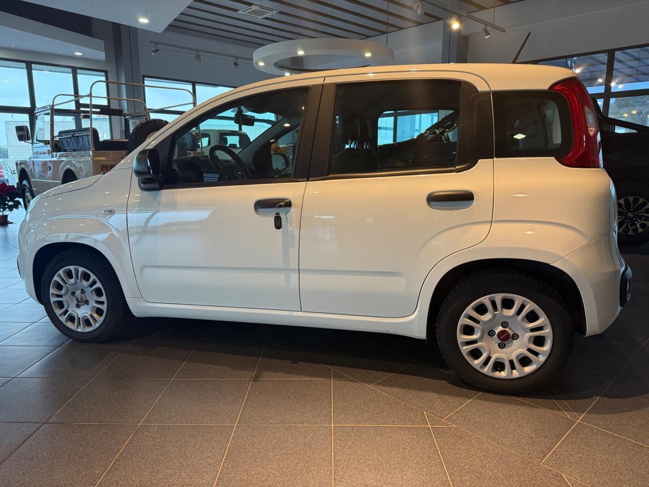 Fiat Panda 1.0 FireFly S&S Hybrid IVA ESPOSTA