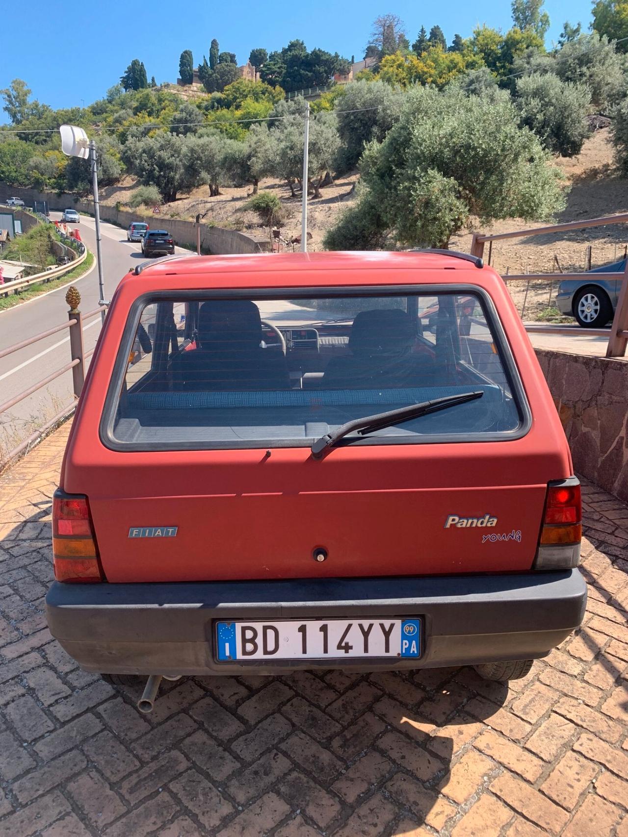 Fiat Panda 900 i.e. cat Young