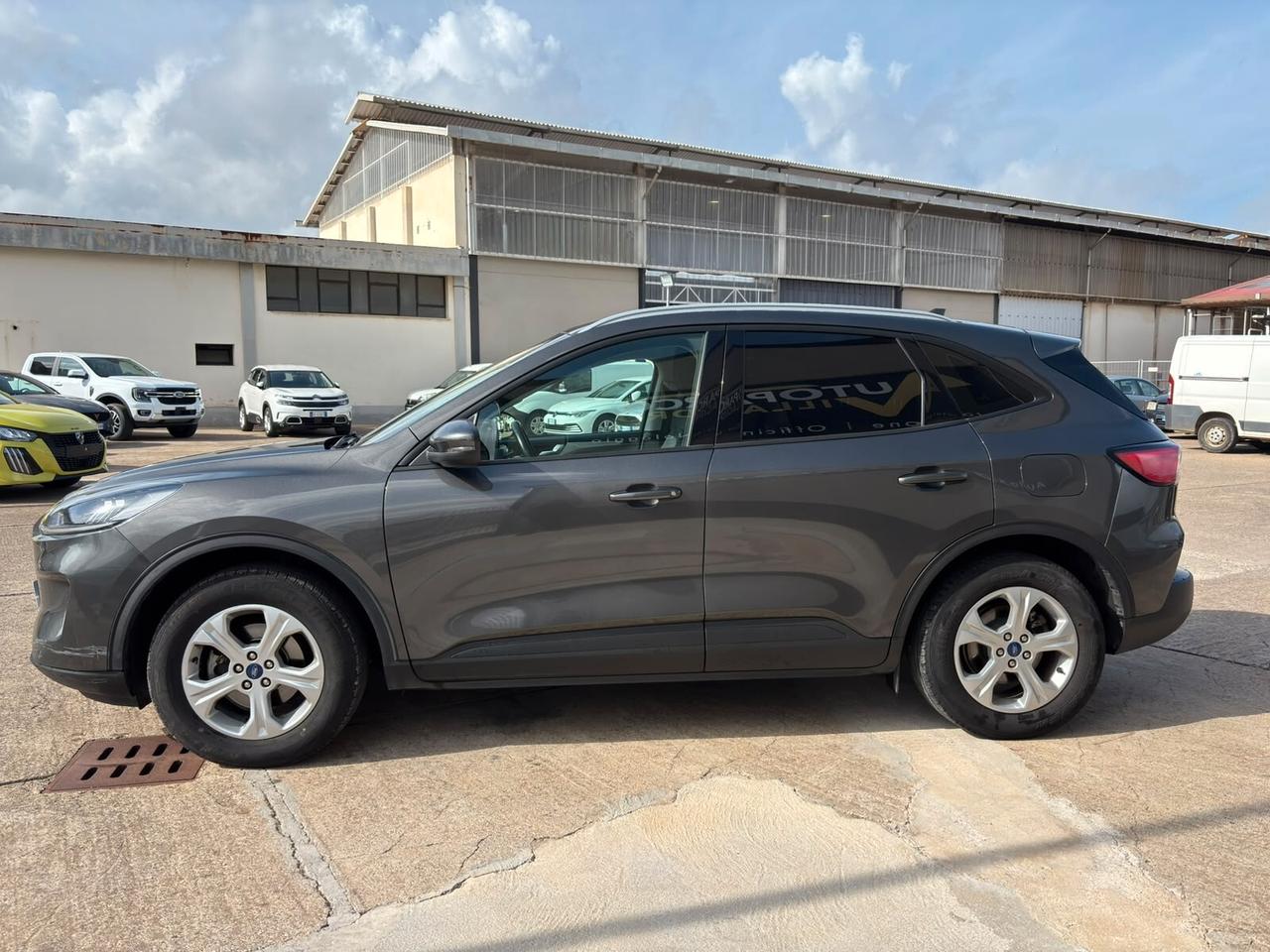 Ford Kuga 1.5 EcoBlue 120 CV 2WD Titanium