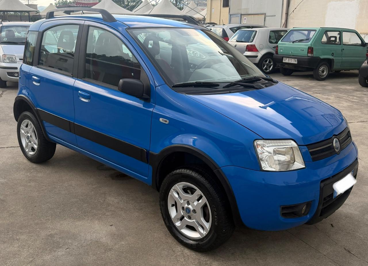 Fiat Panda 1.3 MJT 70CV 4x4 DA AMATORE