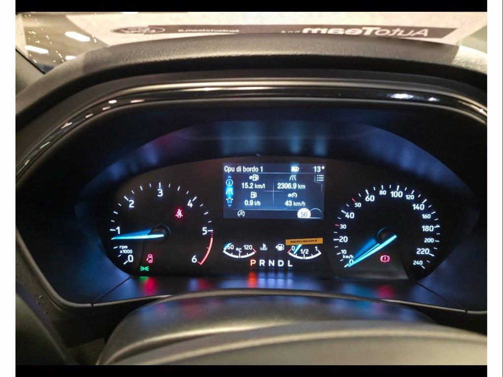 FORD Focus 1.5 ecoblue st-line 115cv auto del 2024