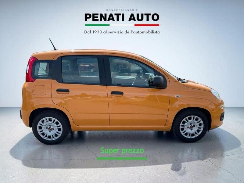 FIAT Panda 1.0 FireFly 70cv S&S Hybrid