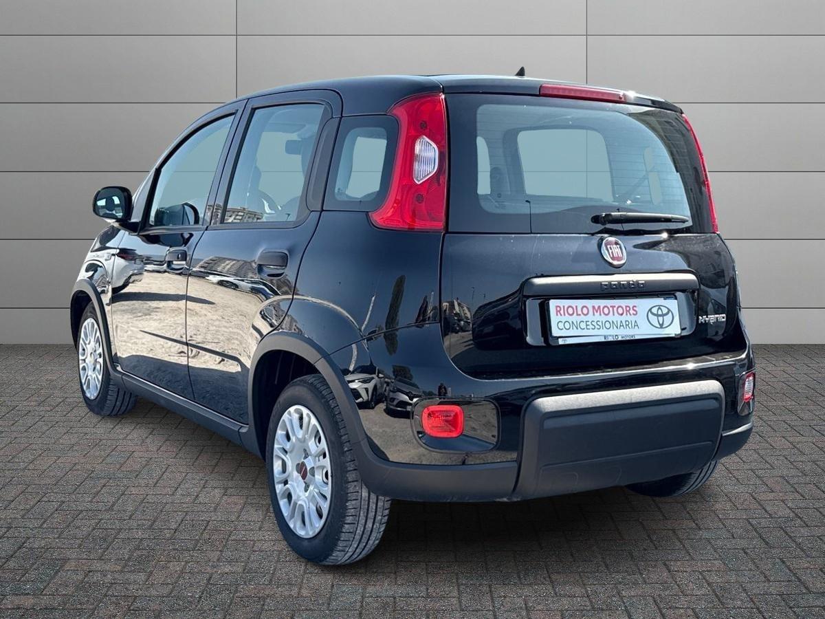 FIAT Panda III 2021 - Panda 1.0 firefly hybrid s&s 70cv