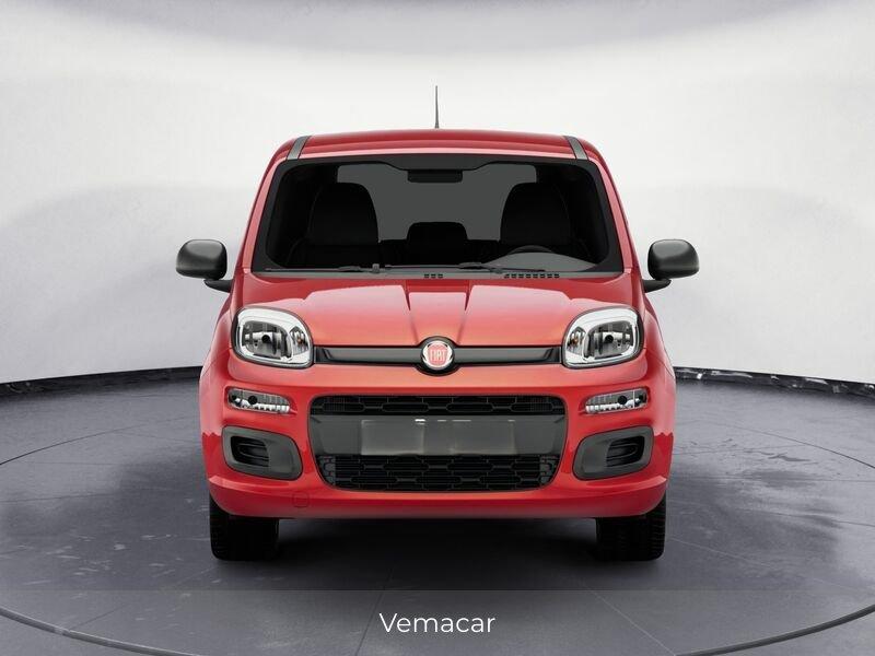 FIAT Pandina 1.0 FireFly 65cv S&S 6m Hybrid Icon-PRONTA CONSEGNA!