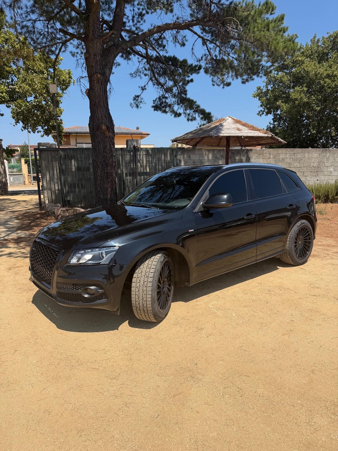 Audi Q5 3.0 V6 TDI 245 CV quattro S tronic Advanced Plus