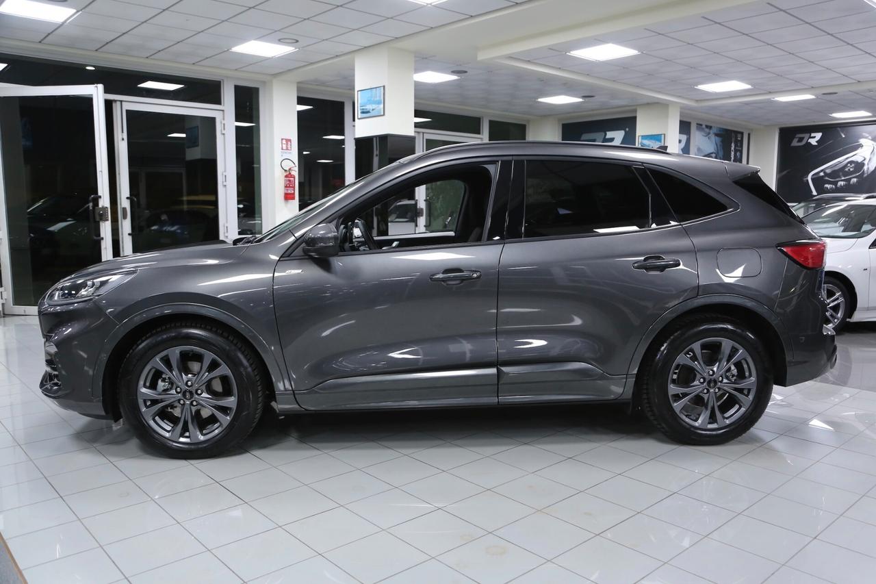 Ford Kuga 2.0 EcoBlue 120 cv ST-Line auto