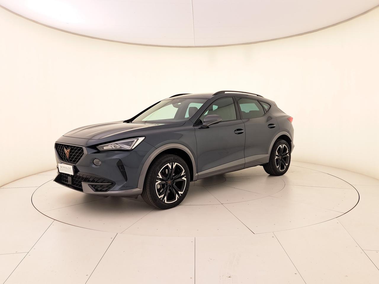 Cupra Formentor 2.0 tdi 4drive 150cv dsg
