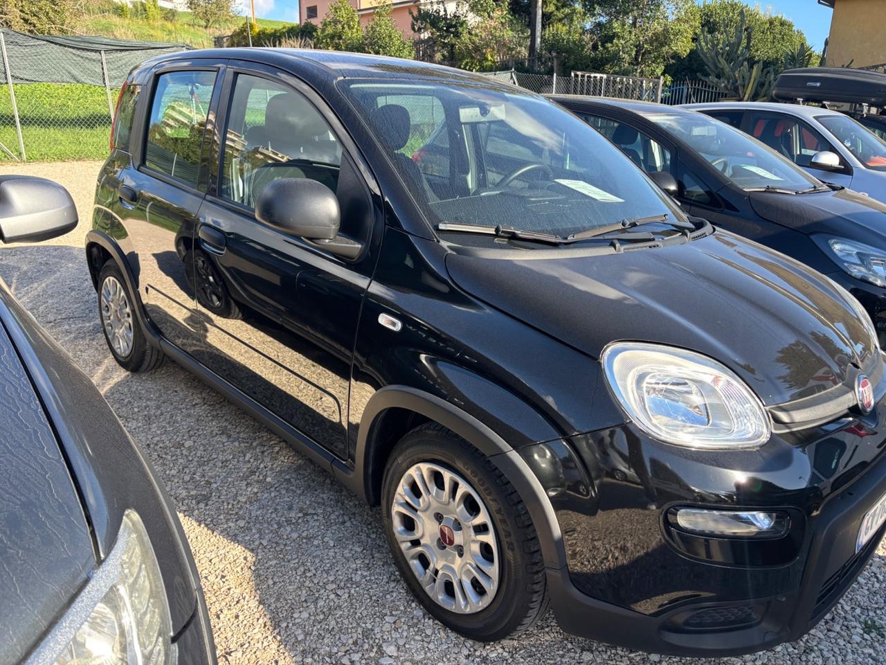 Fiat Panda No