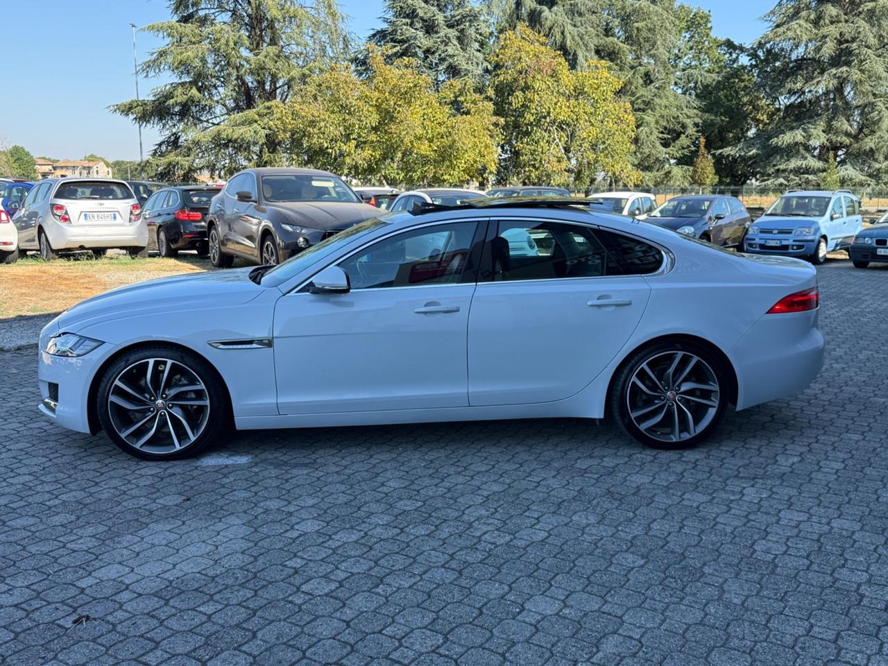 Jaguar XF 3.0 D V6 300 CV aut. R-Sport