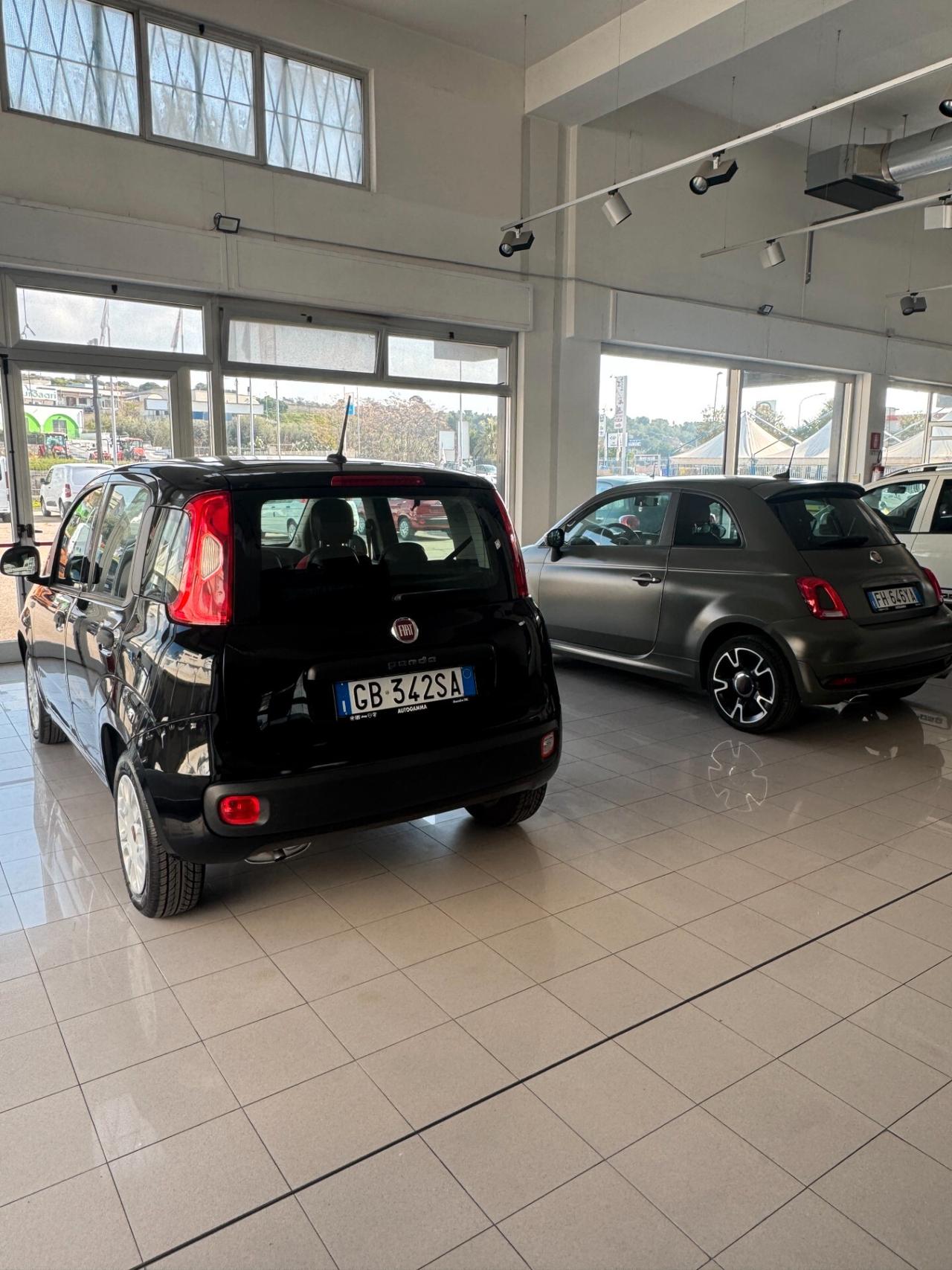 FIAT PANDA 1.2 BZ- 5 POSTI